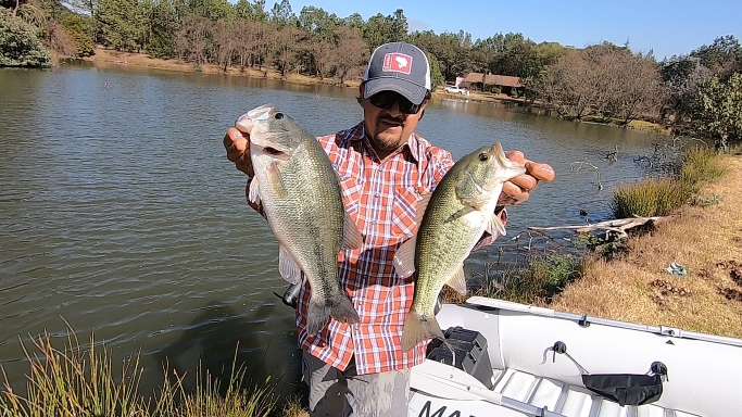 Captura de pantalla (749).png Captura de pantalla (749).png